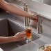 InSinkErator F-HC2200SN Indulge Antique Hot and Cold Water Dispenser Faucet  Satin Nickel - B0012VQFHI